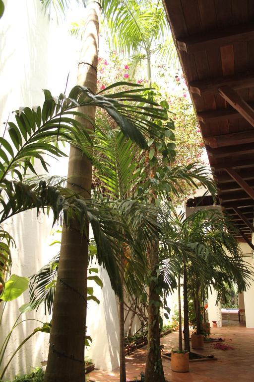 מלון Cartagena Casa Del Tejadillo מראה חיצוני תמונה